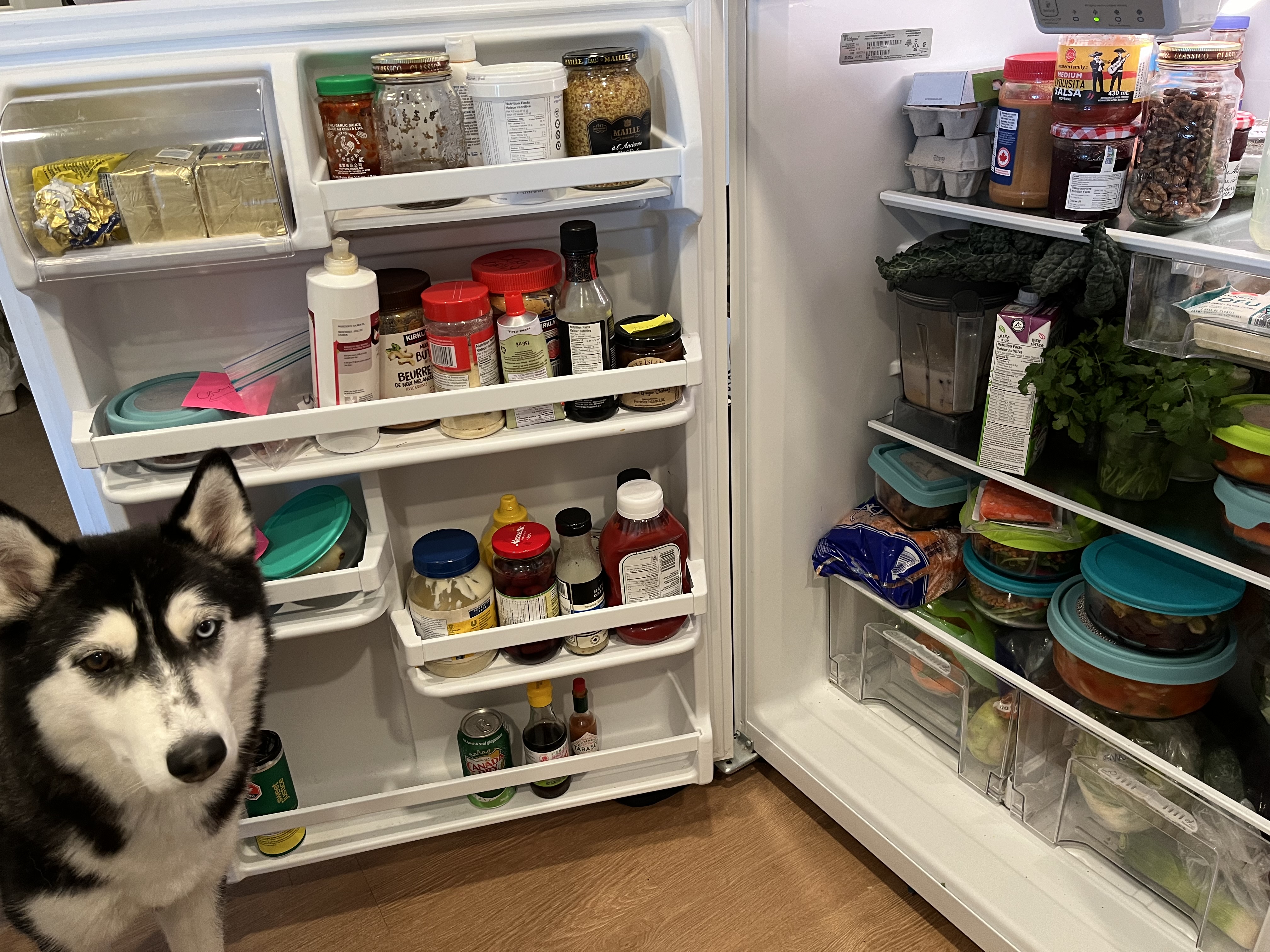 What Cleaning Out Your Fridge and Visitor Studies Have in Common