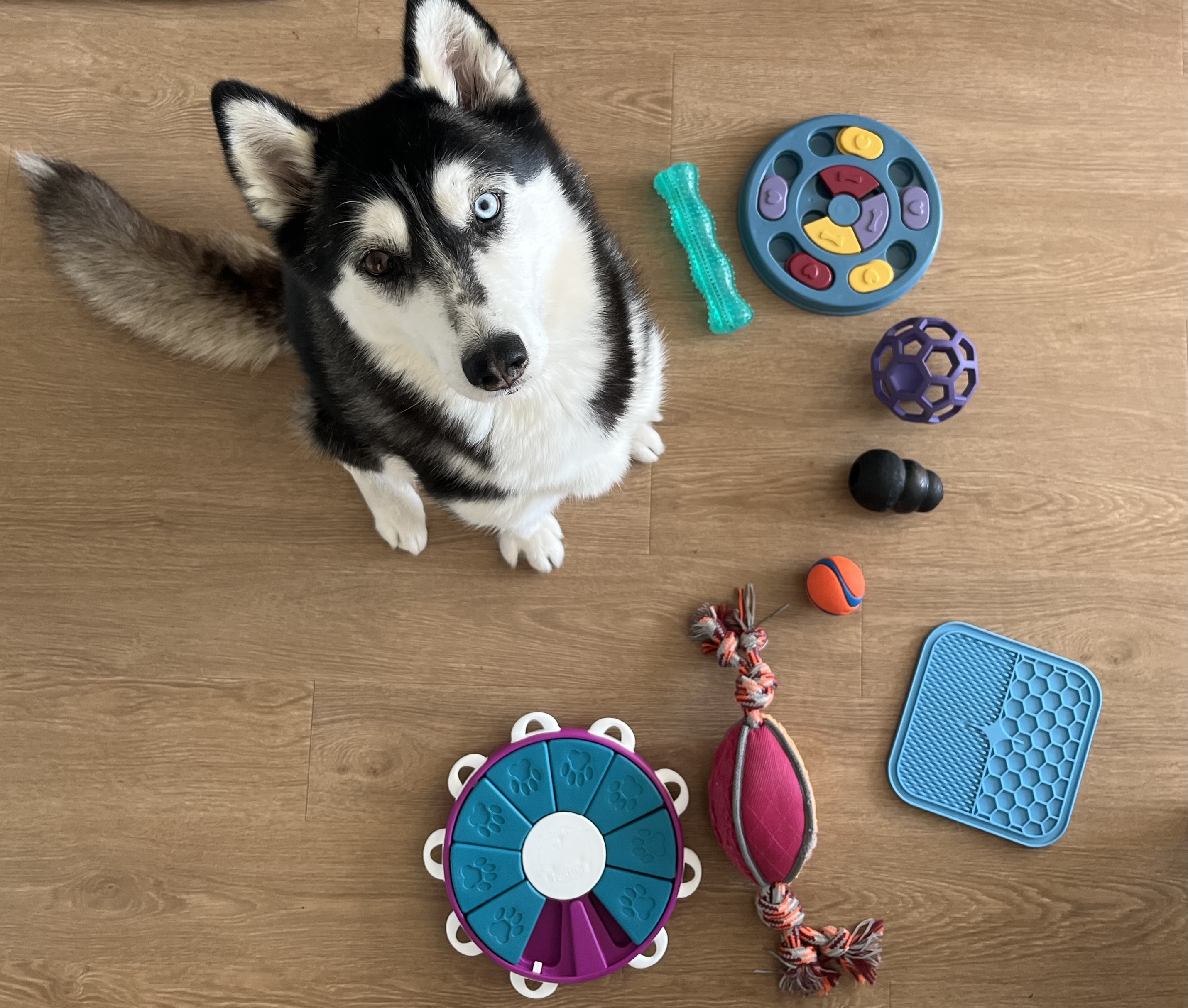 How do I Pick the Right Methods for my Visitor Study?