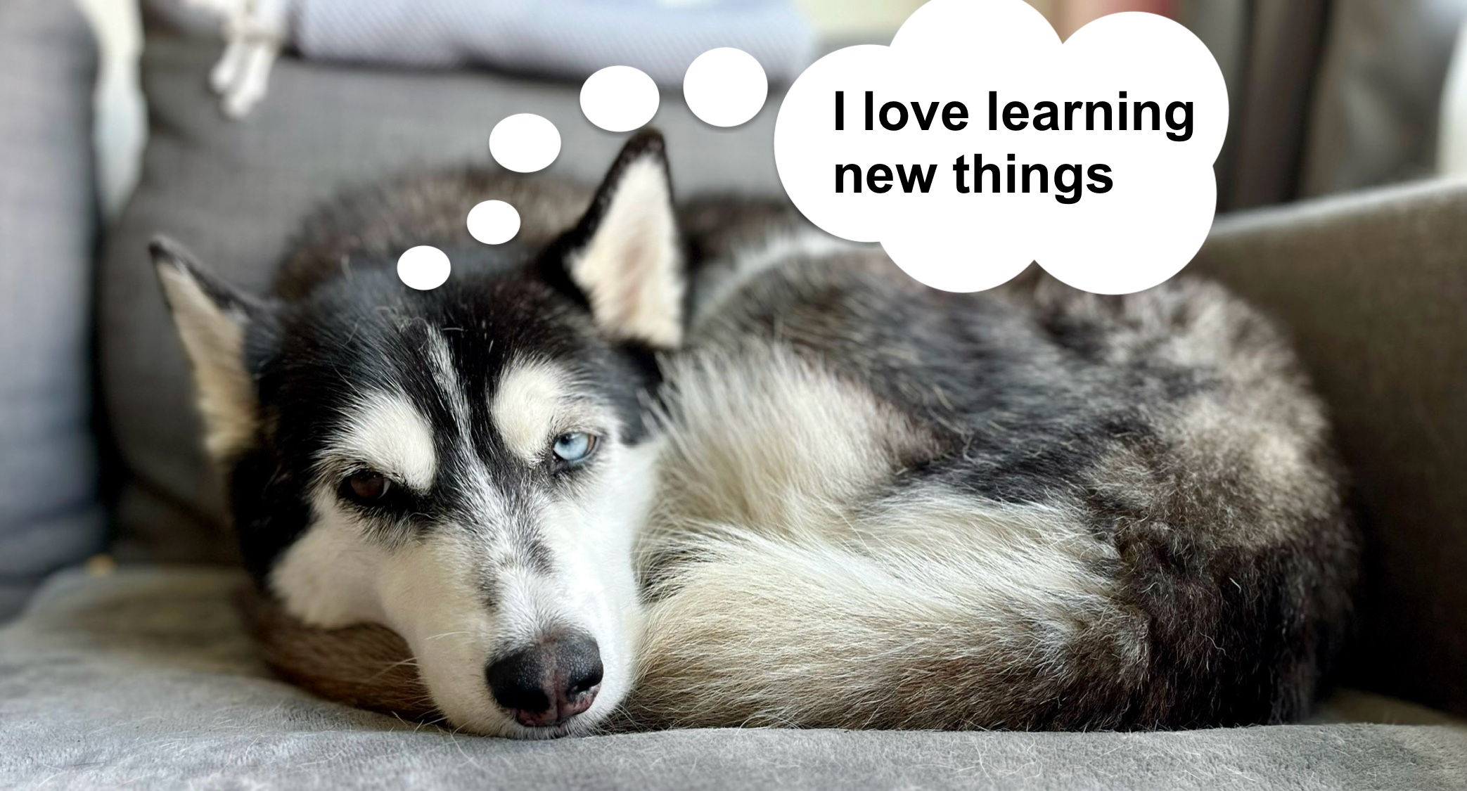 10 Things I Only Learned about Visitor Studies Once I Started Doing Them