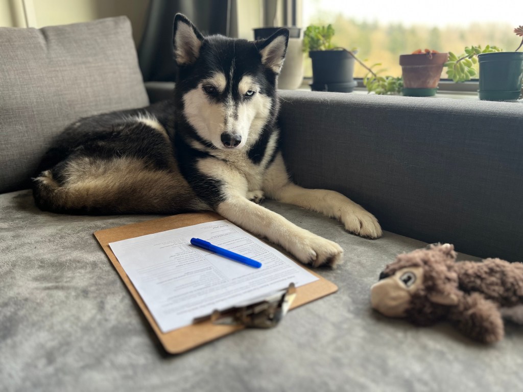 To cue or not to&nbsp;cue?