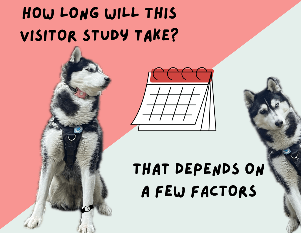 How Much Time Does a Visitor Study Really&nbsp;Take?